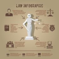 Law infographic symbols icon poster