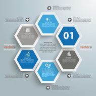 Hexagon Business Infographic N2