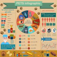 Domestic pets infographic elements helthcare vet N5