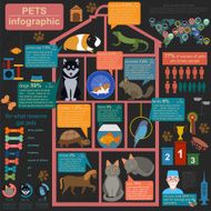 Domestic pets infographic elements helthcare vet N6