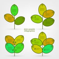 Leaves infographic N2