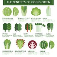 The benefits of going green