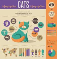 Cat infographics with vector icons set N2