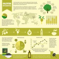 Olives infographics set