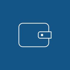 Wallet Icon N8