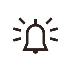 Alarm Icon N11