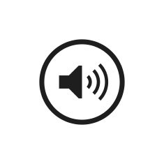 Speaker Icon N18