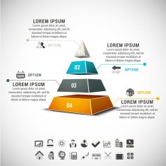 Infographic N69