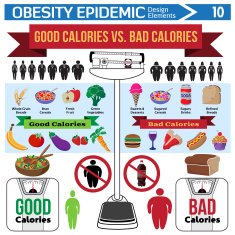 Good calories vs bad infographic design elements free image download