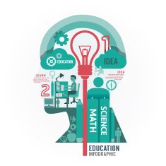 Infographics vector head education design diagram template N2