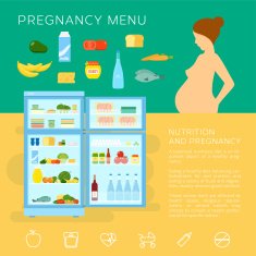 Pregnancy Menu Food Flat Style Vector Infographic Elements or Icons