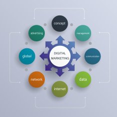 Business digital marketing plan
