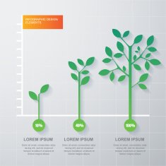 Green tree and plant diagram infographics template Vector illustration N2