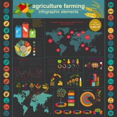 Agriculture farming infographics N3