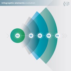 infographics elements &ndash; evolution series N11