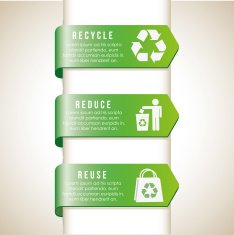 Ecology infographics N19