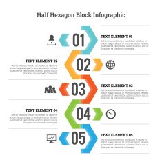 Half Hexagon Block Infographic