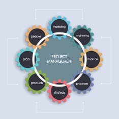 Project management business plan with gear wheel shape