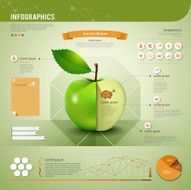 Template of apple infographics in green and orange