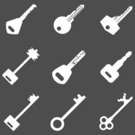 Vector Set of Keys Icons