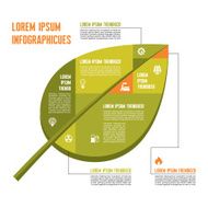 Green Leaf - Vector Infographic Concept