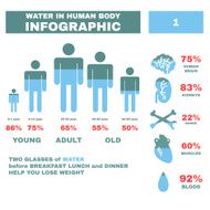 Water in Hyman body Infographic Vector N2