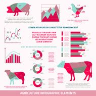 Agriculture infographic elements N3