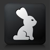 Black Square Button with Rabbit Icon