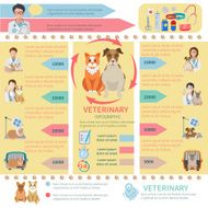 Veterinary Infographics