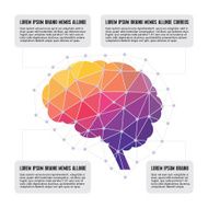 Human Brain - Colored Polygon Infographic Illustration N2