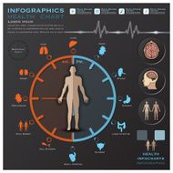 Biological Clock Health And Medical Infographic Infocharts N2