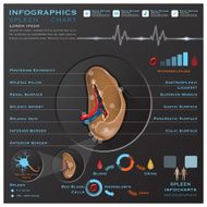 Spleen Anatomy System Medical Infographic Infochart N2