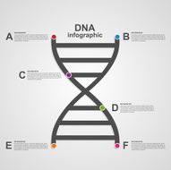 DNA science infographics design line style concept