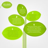 Leaves infographic N3