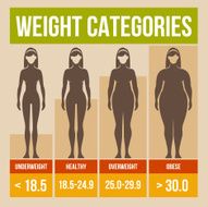 Body mass index retro poster