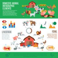 Domestic Animals Infographics