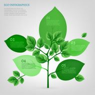 05 Infographics Bio Tree N2