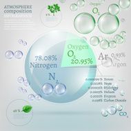 bio infographics N11