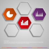 Vector illustration infographic hexagons