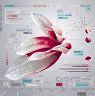 Flower infographics set