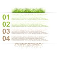 Modern nature design template infographics