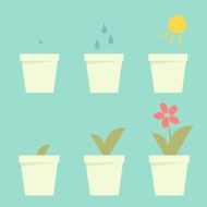 planting flower infographic