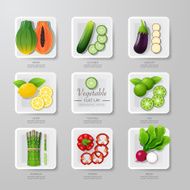 Infographic food vegetables flat lay idea Vector illustration