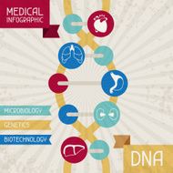 Medical infographic DNA