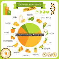 Information Poster Genetically Modified Foods