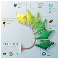 Leaf Shape Three Dimension Polygon Ecology And Environment Infographic