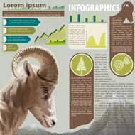 An infographics of an animal