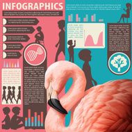 Chart showing humans and animals