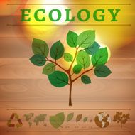 ecology infographic N15