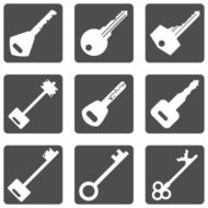 Vector Set of Keys Icons N2